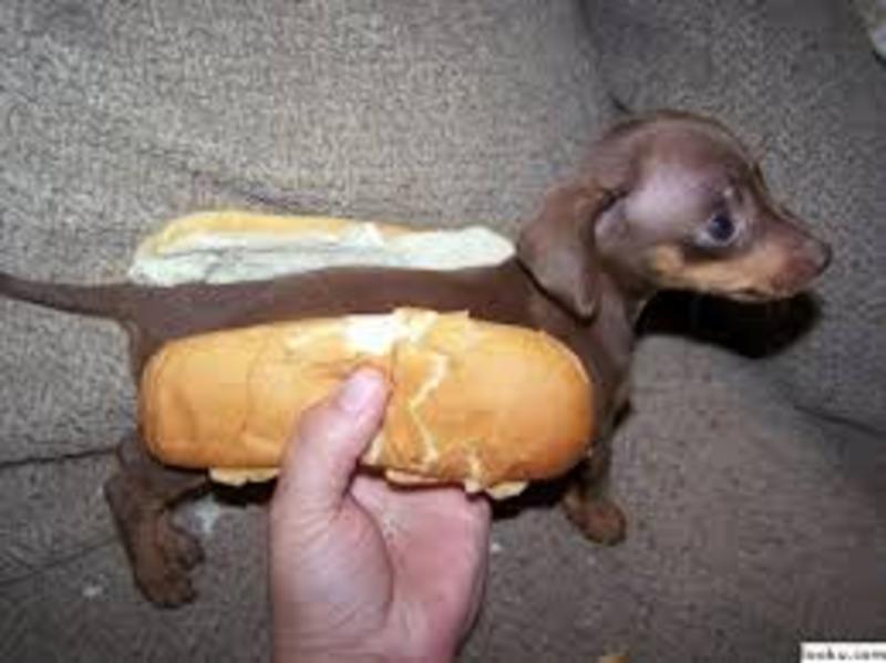 Hot Dog